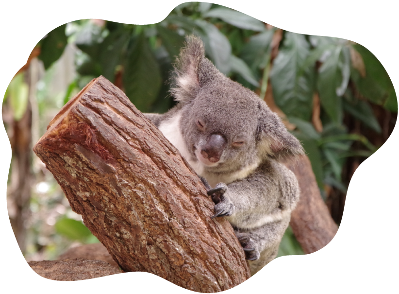 プロフィール写真